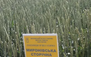 Миронівська сторічна