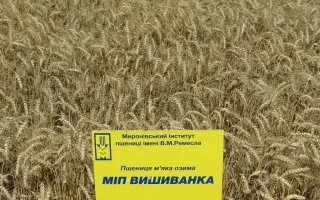 МІП Відзнака