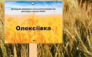 Олексіївка