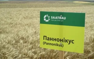 Pannonikus / Паннонікус