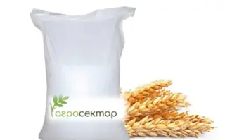 Позиція одеська