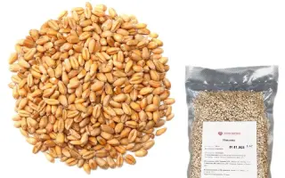 Prestance / Престанс