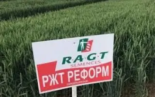 RGT REFORM / РЖТ РЕФОРМ