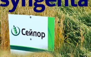 Sailor / Сейлор