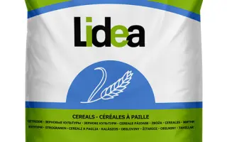 SOLINDO CS / СОЛІНДО КС