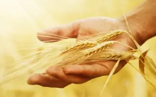 Сприятлива