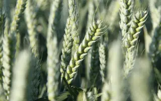 Tonnage / Тоннаж