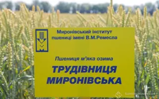 Трудівниця миронівська