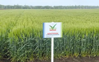 Centurion / Центуріон