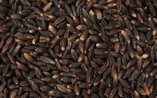 Чорнозерна