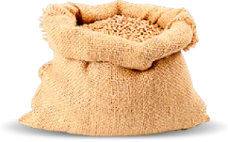 Astron / Астрон