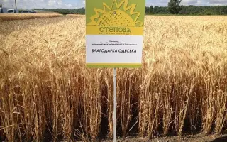 Вихованка одеська