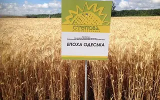 Епоха одеська