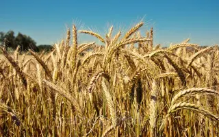 Одесская 133 / Одеська 133