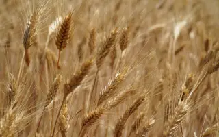 Одесская 161 / Одеська 161