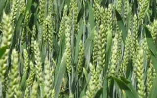 Одесская 162 / Одеська 162