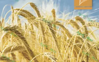 Фантазия одесская / Фантазія одеська