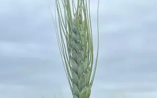 Харківська 96