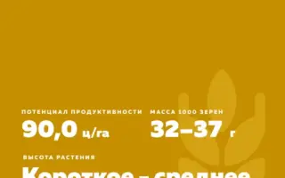 KWS Akvilon / КВС Аквілон