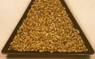 МІП Соломія