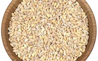 Peribonka / Перібонка