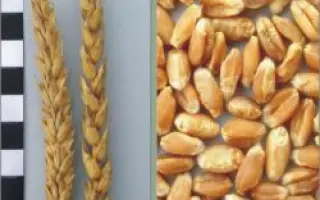 Харківська 30