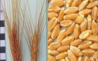 Харьковская 6 / Харківська 6