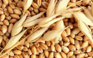 Золоте руно