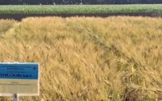 Приазовська