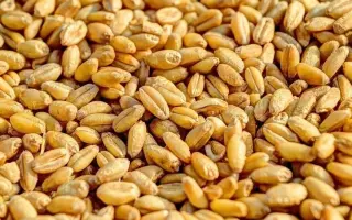 Престижний