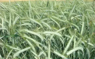 Харківська 32