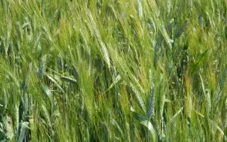 Харківська 15