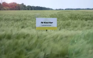 LG Casting / ЛГ Кастінг