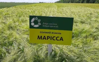 MARISSA / МАРІССА