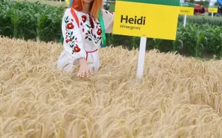 Heidi / Хайді