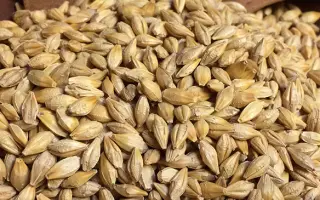 Existenz / Екзистенс