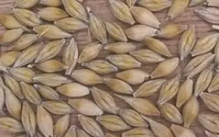 Росава (дв.) / Росава