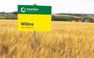 Wilma / Вільма