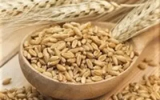 Диво Носівщини