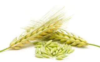 Донецький 14