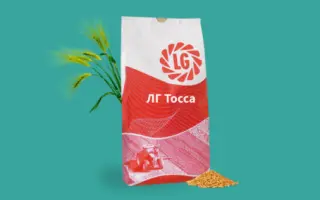 LG Tosca / ЛГ Тосса