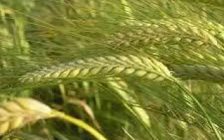 Odyssey / Одіссей