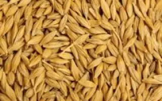 Світоч Носівський