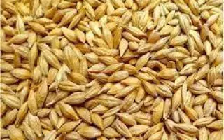 Cerbinetta / Сербінетта