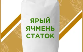 Статок