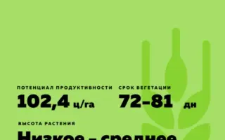 Schiwago / Шиваго