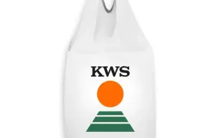 KWS Amadora / КВС Амадора