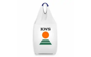 KWS Asta / КВС Аста