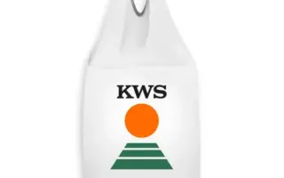 KWS Thessa / КВС Тесса