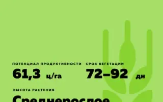 Crescendo / Крешендо